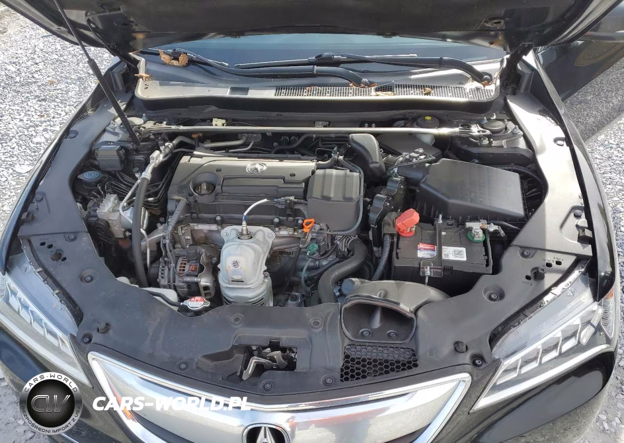 2015 Acura Tlx VIN:19UUB1F31FA019647 - 11
