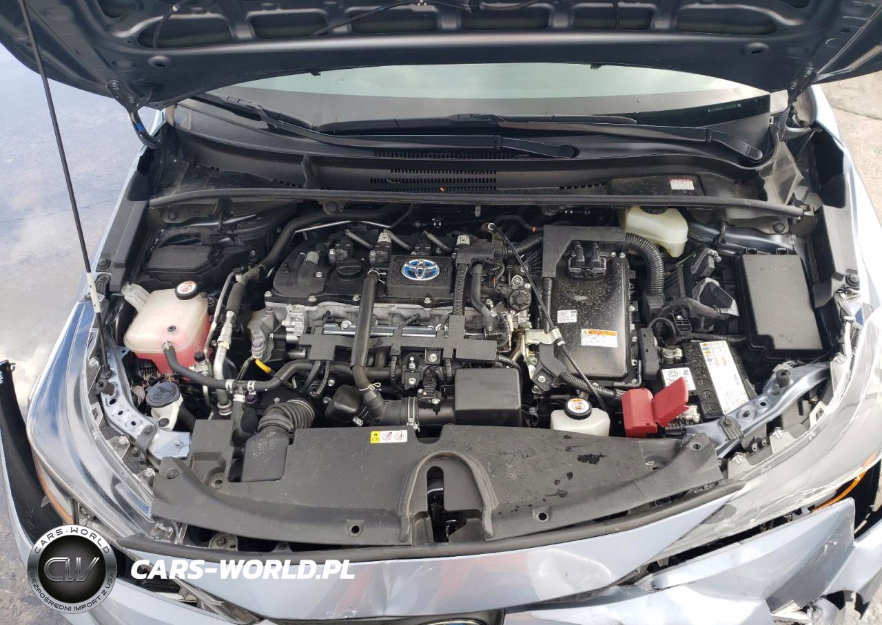 TOYOTA COROLLA LE VIN:JTDEBRBE1LJ025372 - 11