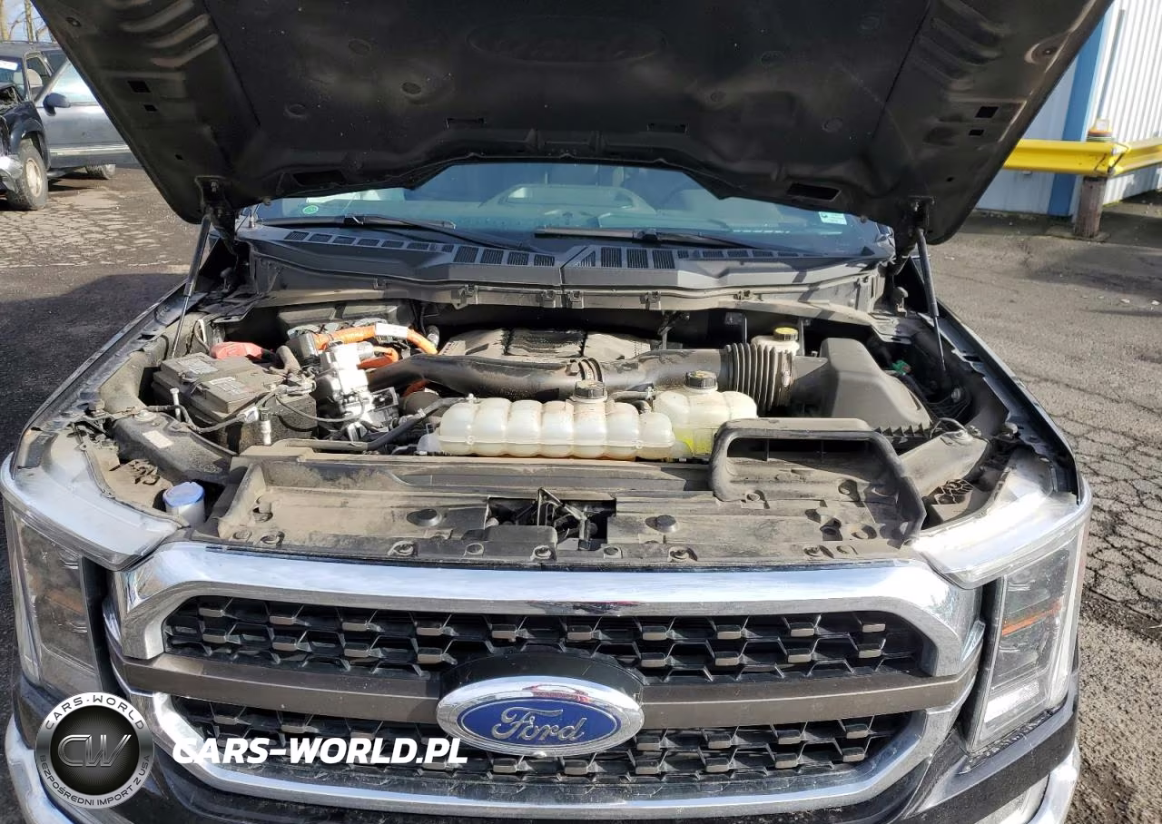 2021 Ford F150 Supercrew VIN:1FTFW1ED3MFA94419 - 11
