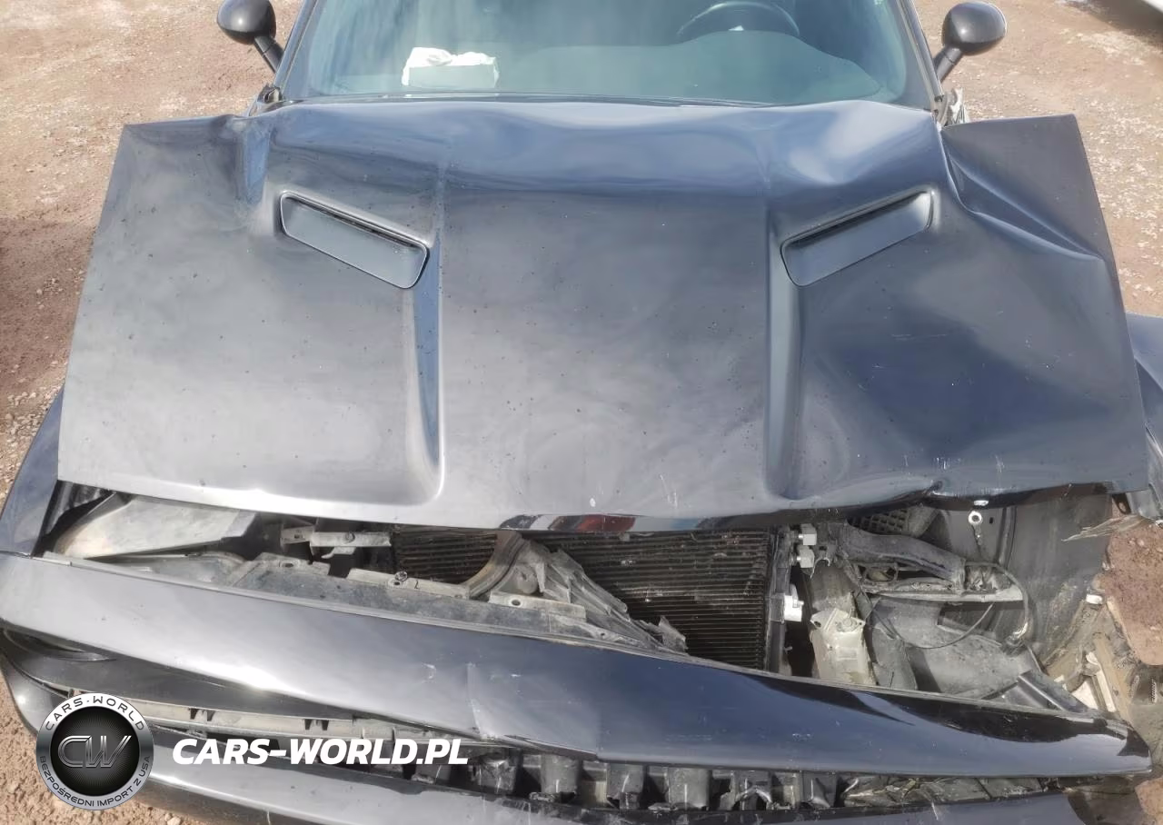 2019 Dodge Challenger Sxt VIN:2C3CDZAG5KH684273 - 11