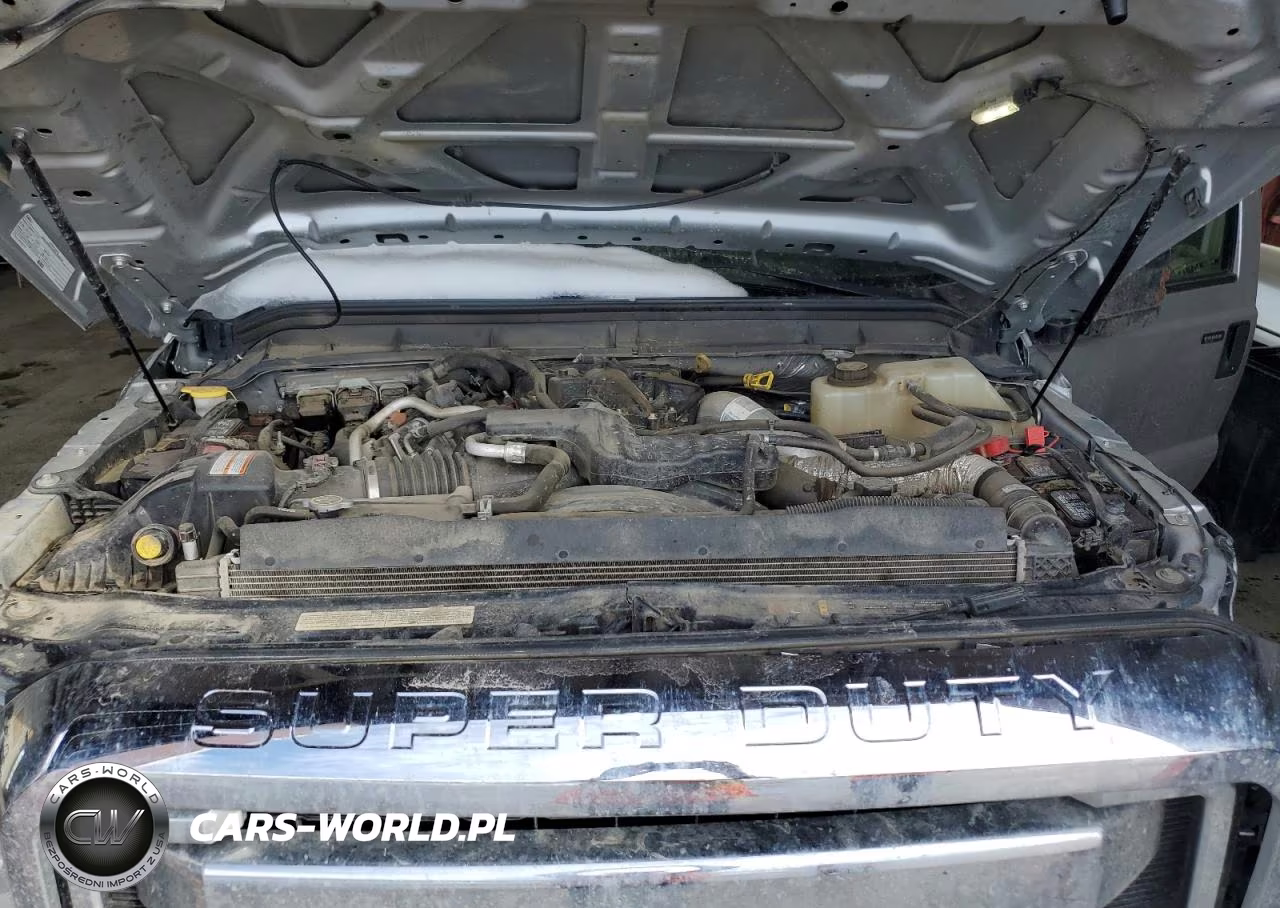 FORD F350 SUPER VIN:1FT8W3BT1GEC70944 - 11