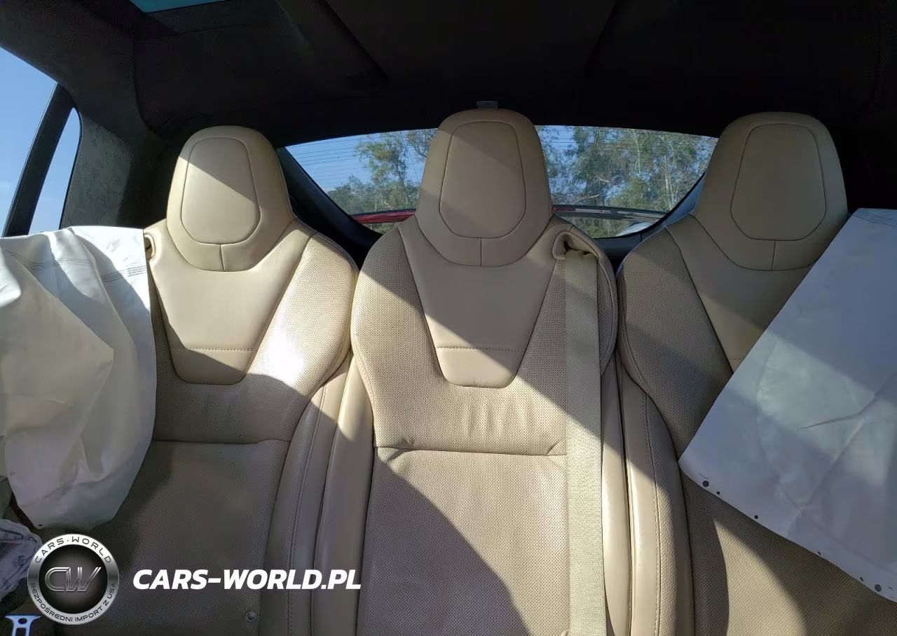 2016 Tesla Model X VIN:5YJXCAE24GF017871 - 10