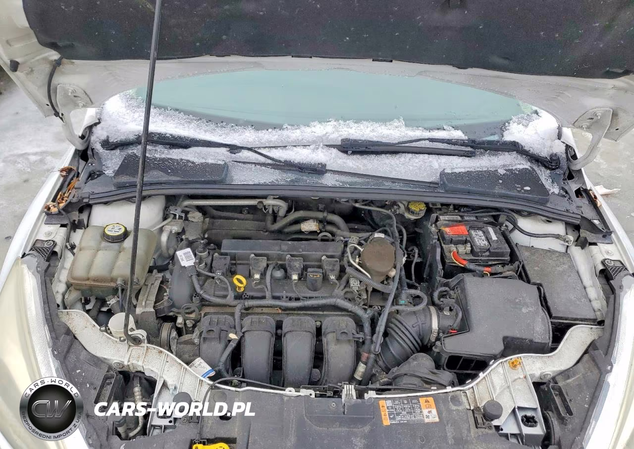 2016 Ford Focus Se VIN:1FADP3F23GL247700 - 11