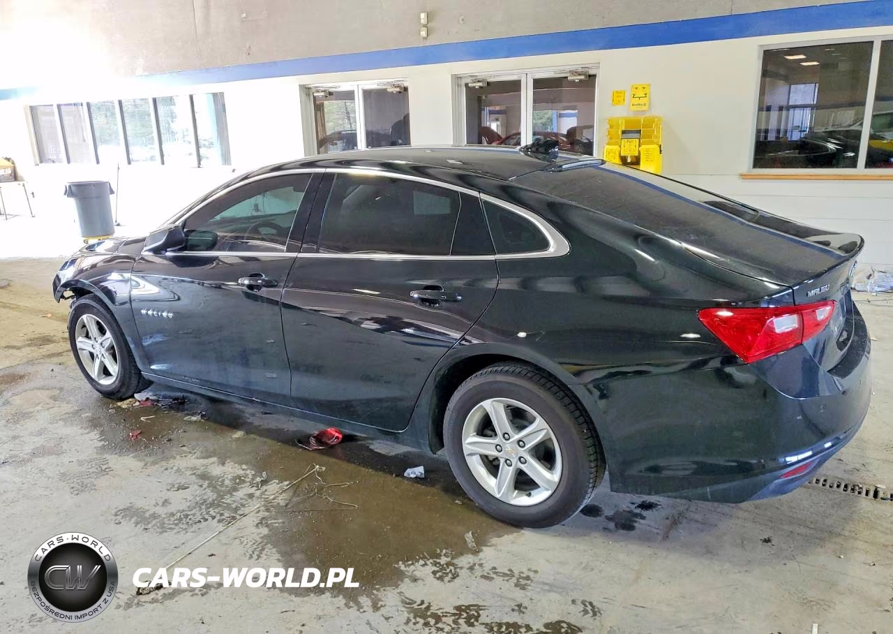 2023 Chevrolet Malibu Lt VIN:1G1ZD5ST6PF151361 - 2