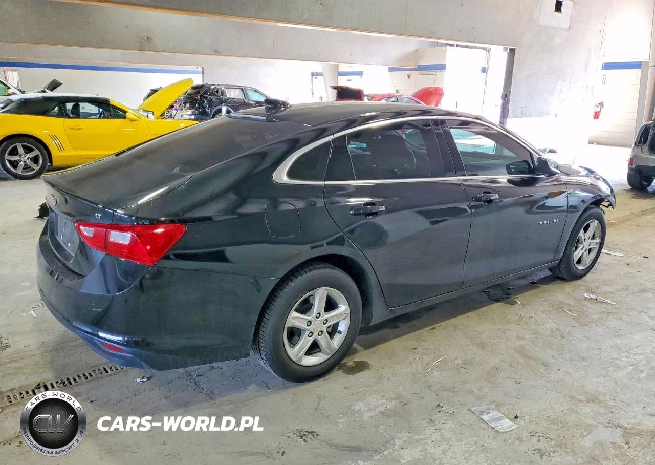 2023 Chevrolet Malibu Lt VIN:1G1ZD5ST6PF151361 - 3