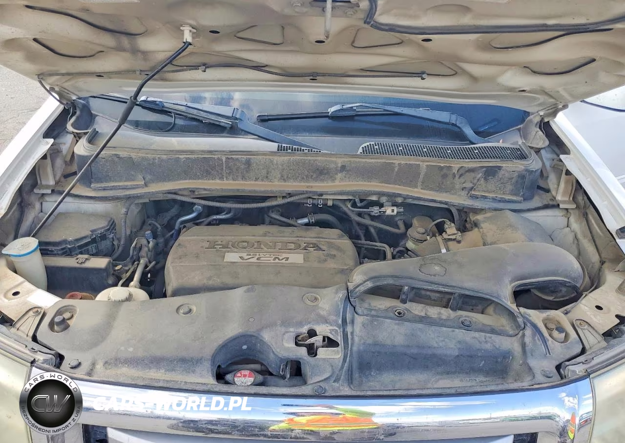 2009 Honda Pilot Exl VIN:5FNYF38609B005094 - 11