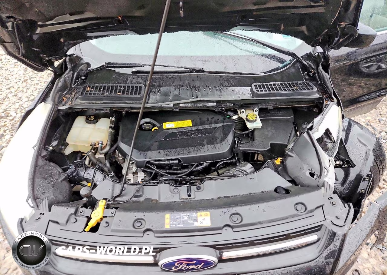 2014 Ford Escape Se VIN:1FMCU9GX0EUB97255 - 12