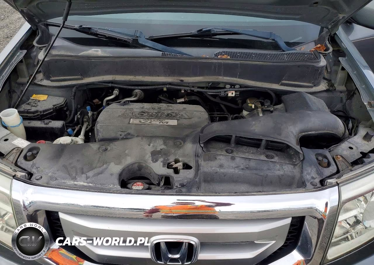 2009 Honda Pilot Exl VIN:5FNYF48629B006754 - 11