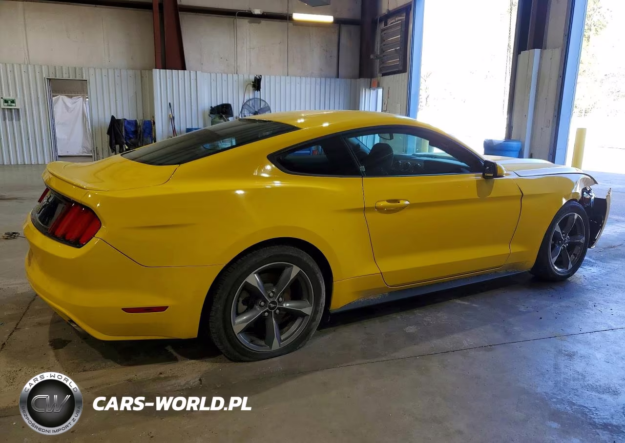 2015 Ford Mustang VIN:1FA6P8AM4F5311860 - 3
