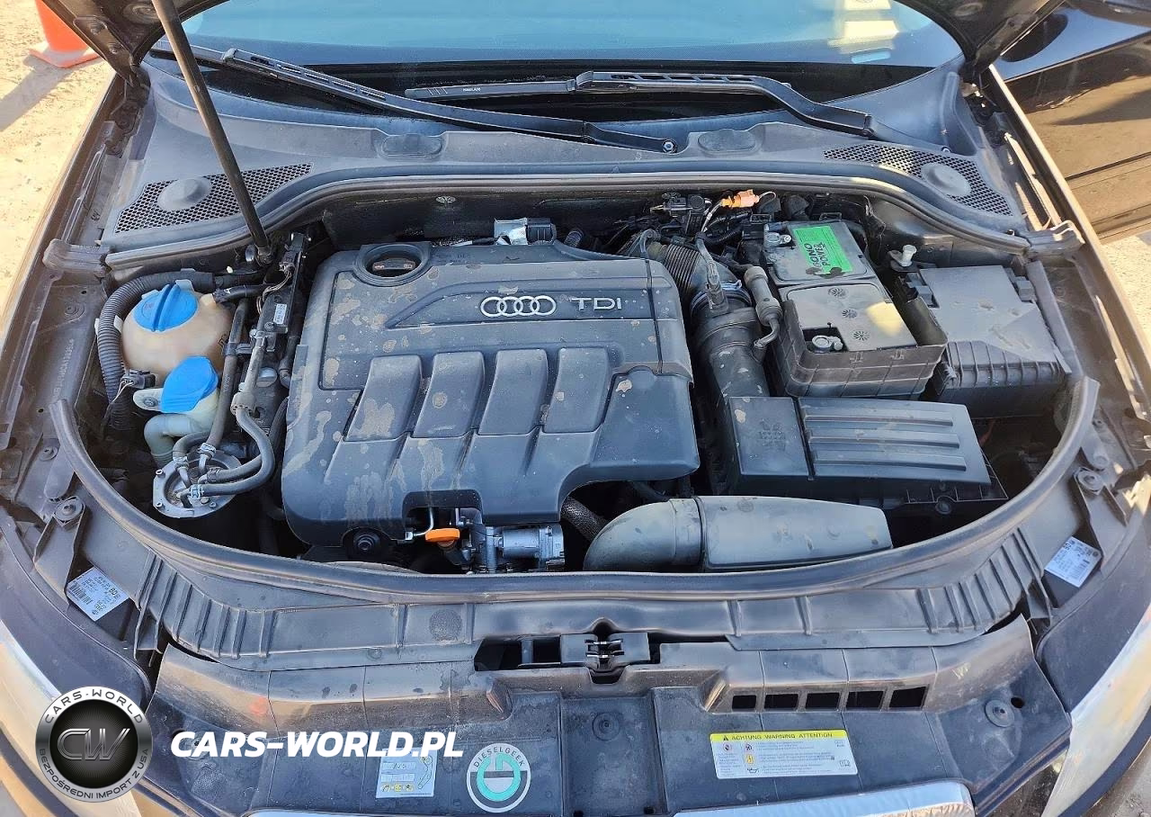2012 Audi A3 Premium VIN:WAUBJAFM8CA138354 - 11