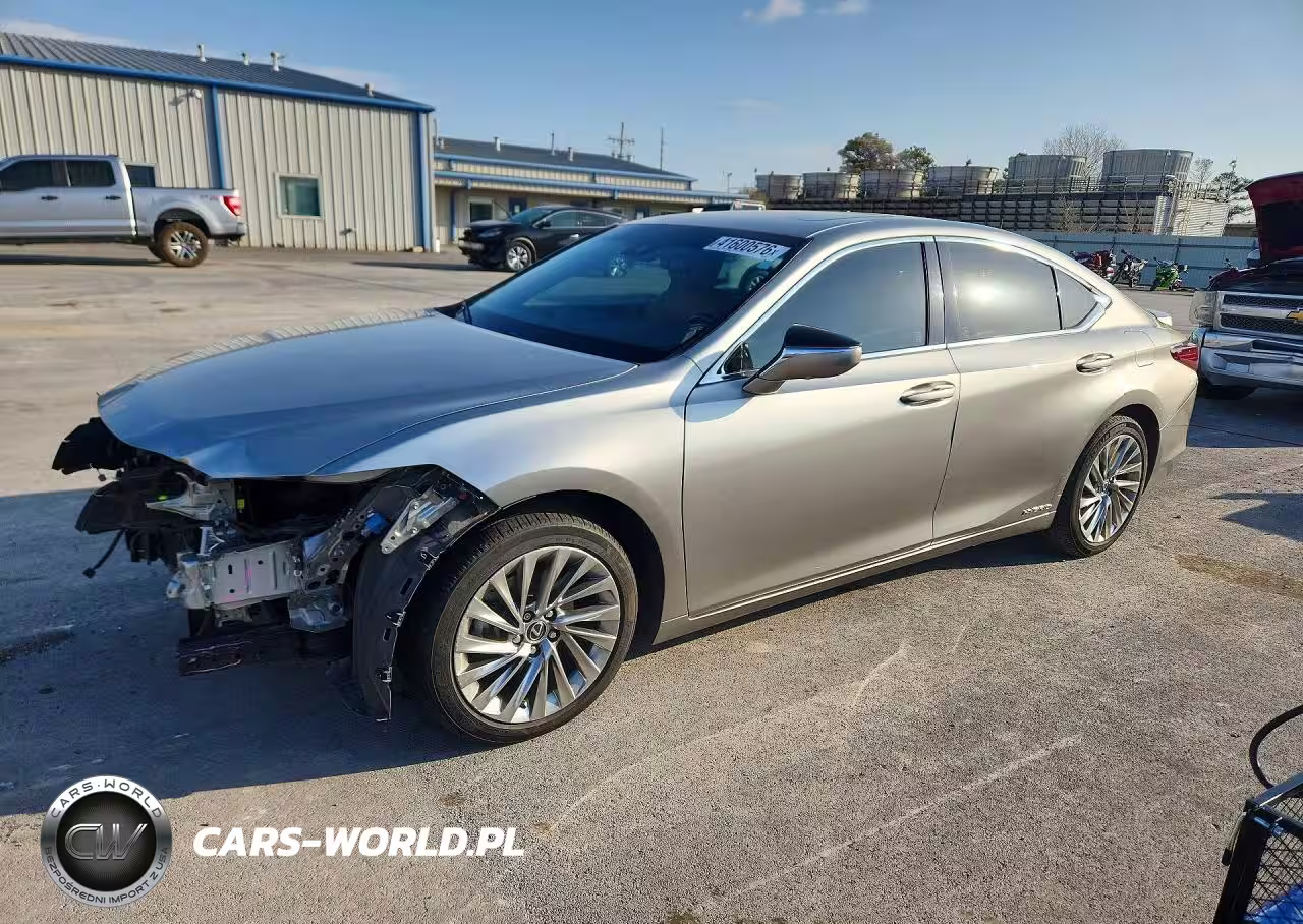 2019 Lexus Es 300H Luxury