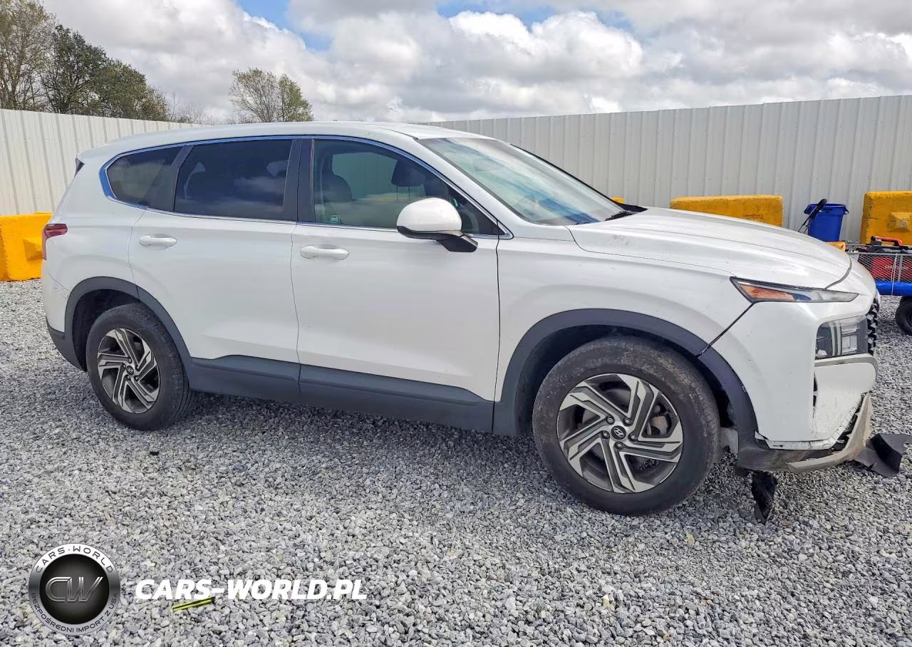 2021 Hyundai Santa Fe Se VIN:5NMS14AJ5MH329321 - 4