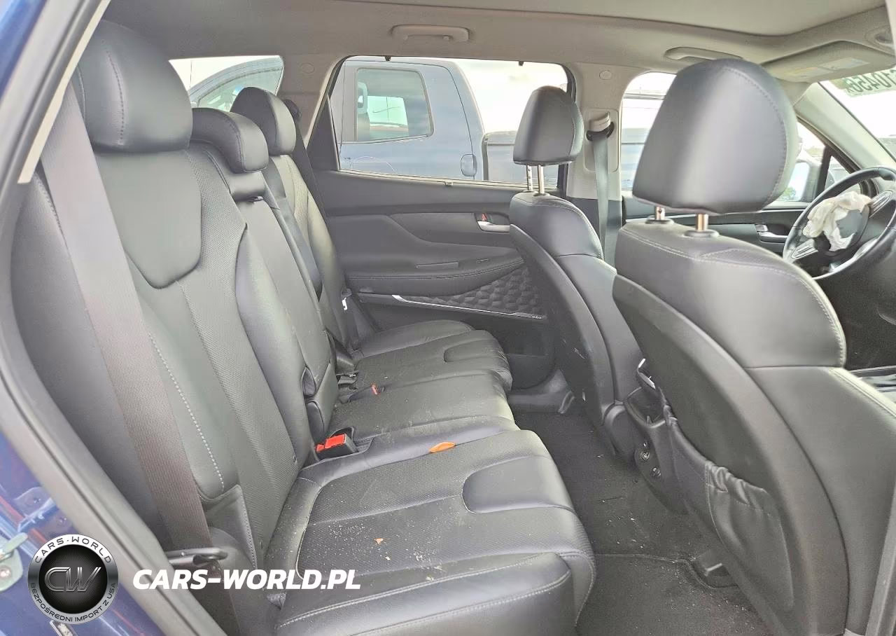 2020 Hyundai Santa Fe Sel VIN:5NMS3CADXLH256542 - 11