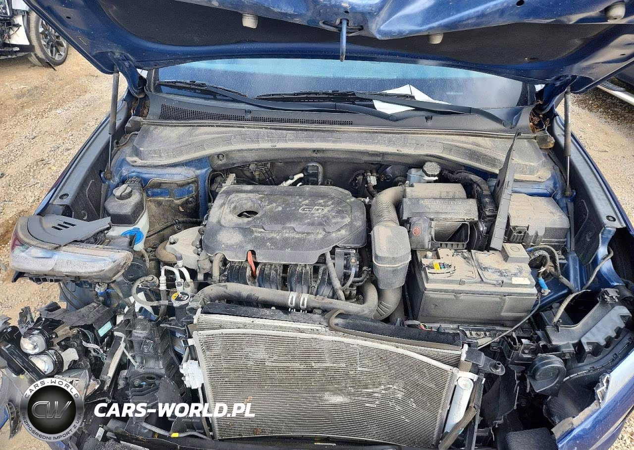 2020 Hyundai Santa Fe Sel VIN:5NMS3CADXLH256542 - 12