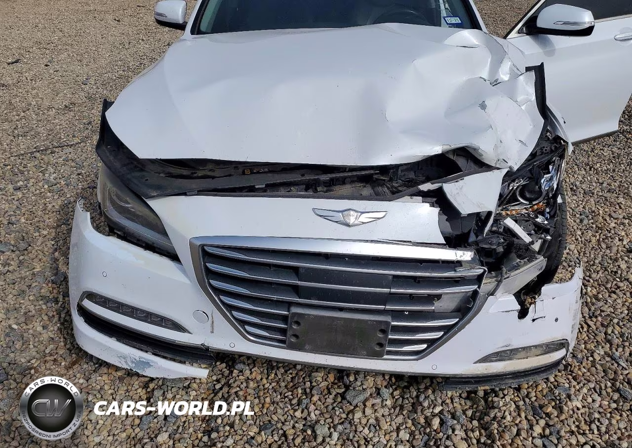 2015 Hyundai Genesis 5.0L VIN:KMHGN4JF8FU091915 - 11