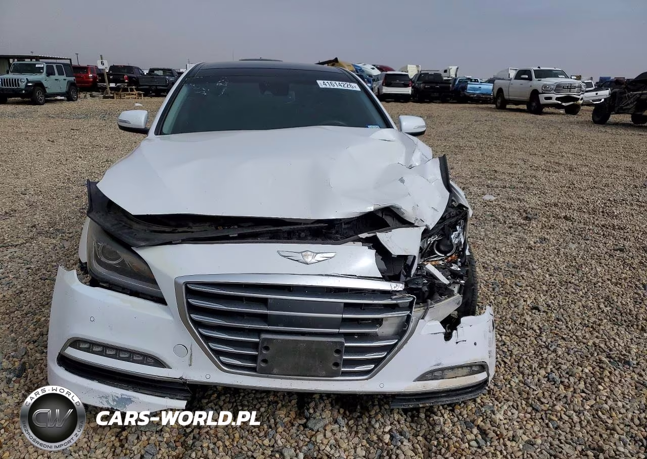 2015 Hyundai Genesis 5.0L VIN:KMHGN4JF8FU091915 - 5