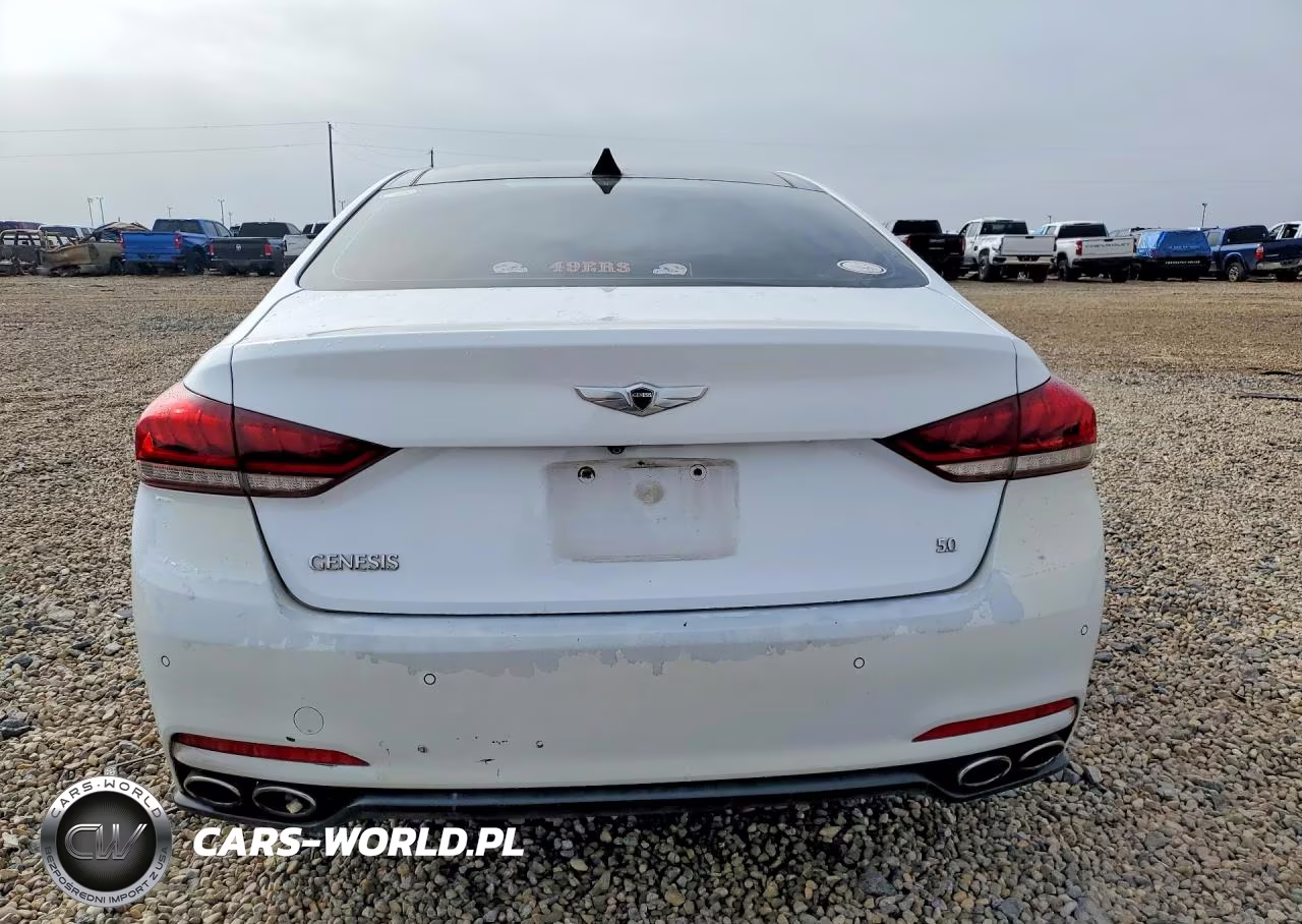 2015 Hyundai Genesis 5.0L VIN:KMHGN4JF8FU091915 - 6