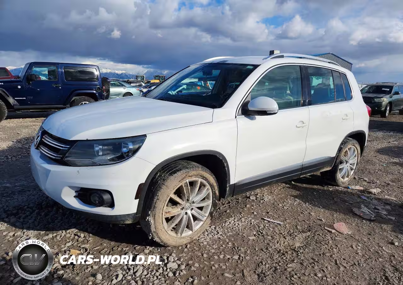 2013 Volkswagen Tiguan S