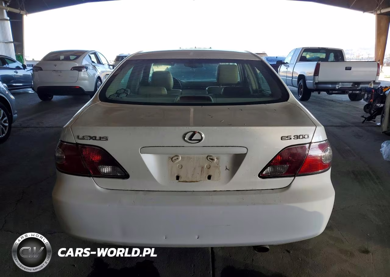 2002 Lexs Es 300 VIN:JTHBF30G320084824 - 6
