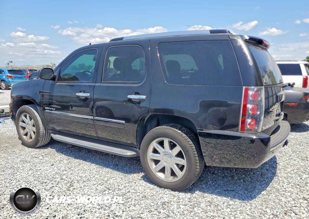 2010 GMC Yukon Denali VIN:1GKUCEEF6AR233529 - 2