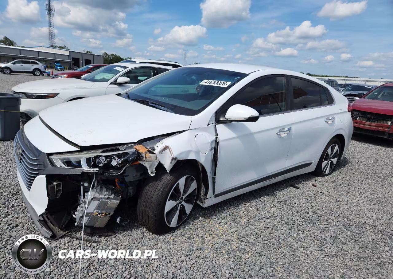 Główne zdjęcie 2019 Hyundai Ioniq Limited