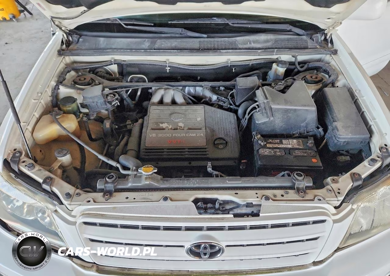 2001 Toyota Highlander Base VIN:JTEGF21A810028125 - 12