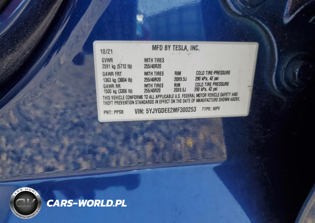 2021 Tesla Model Y VIN:5YJYGDEE2MF300253 - 12