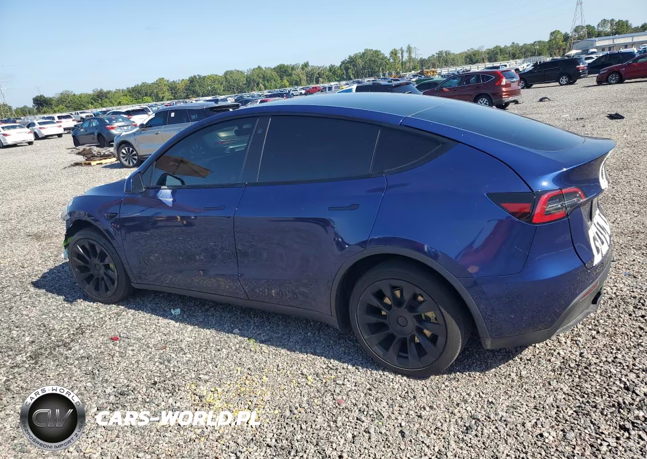 2021 Tesla Model Y VIN:5YJYGDEE2MF300253 - 2