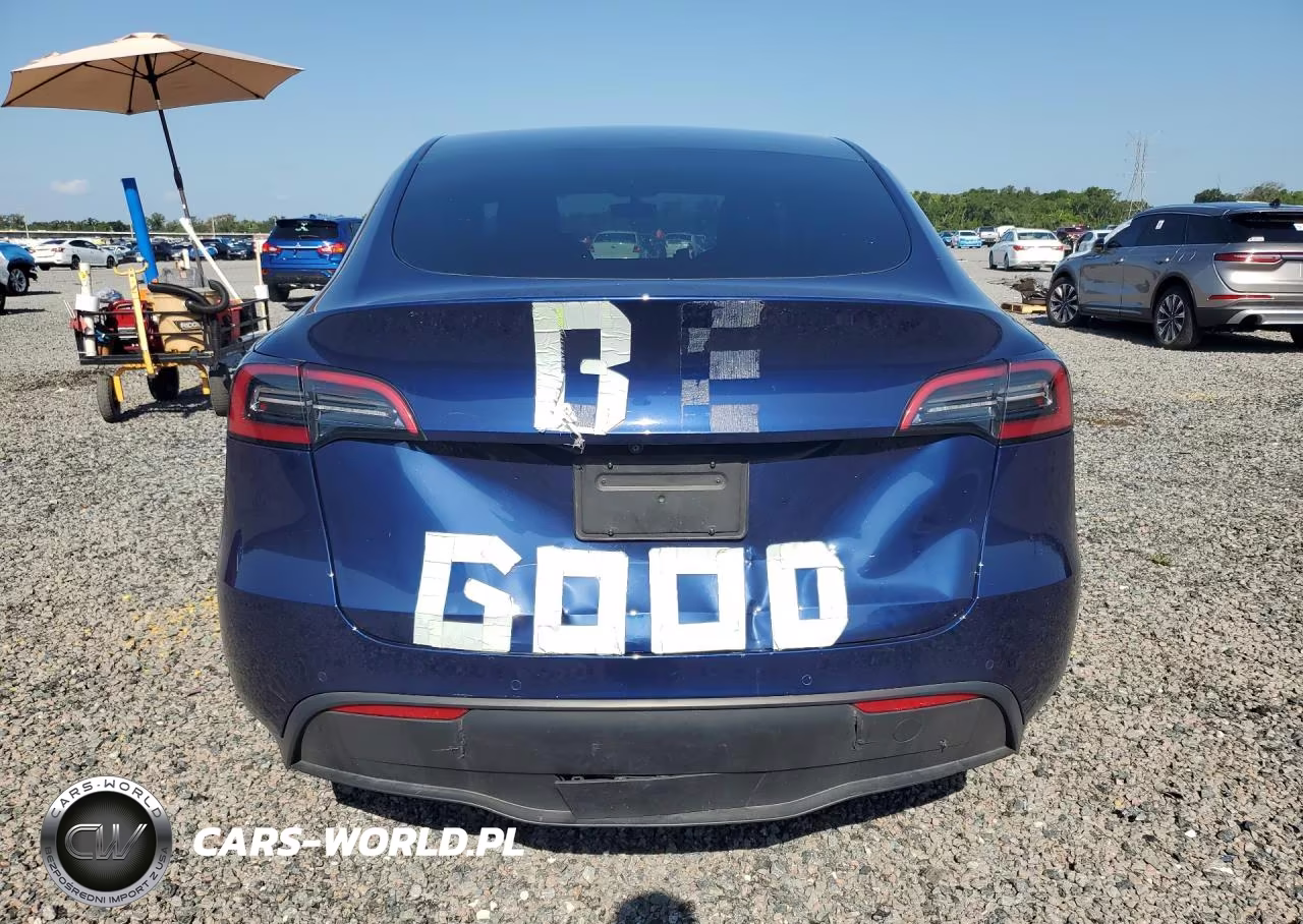 2021 Tesla Model Y VIN:5YJYGDEE2MF300253 - 6