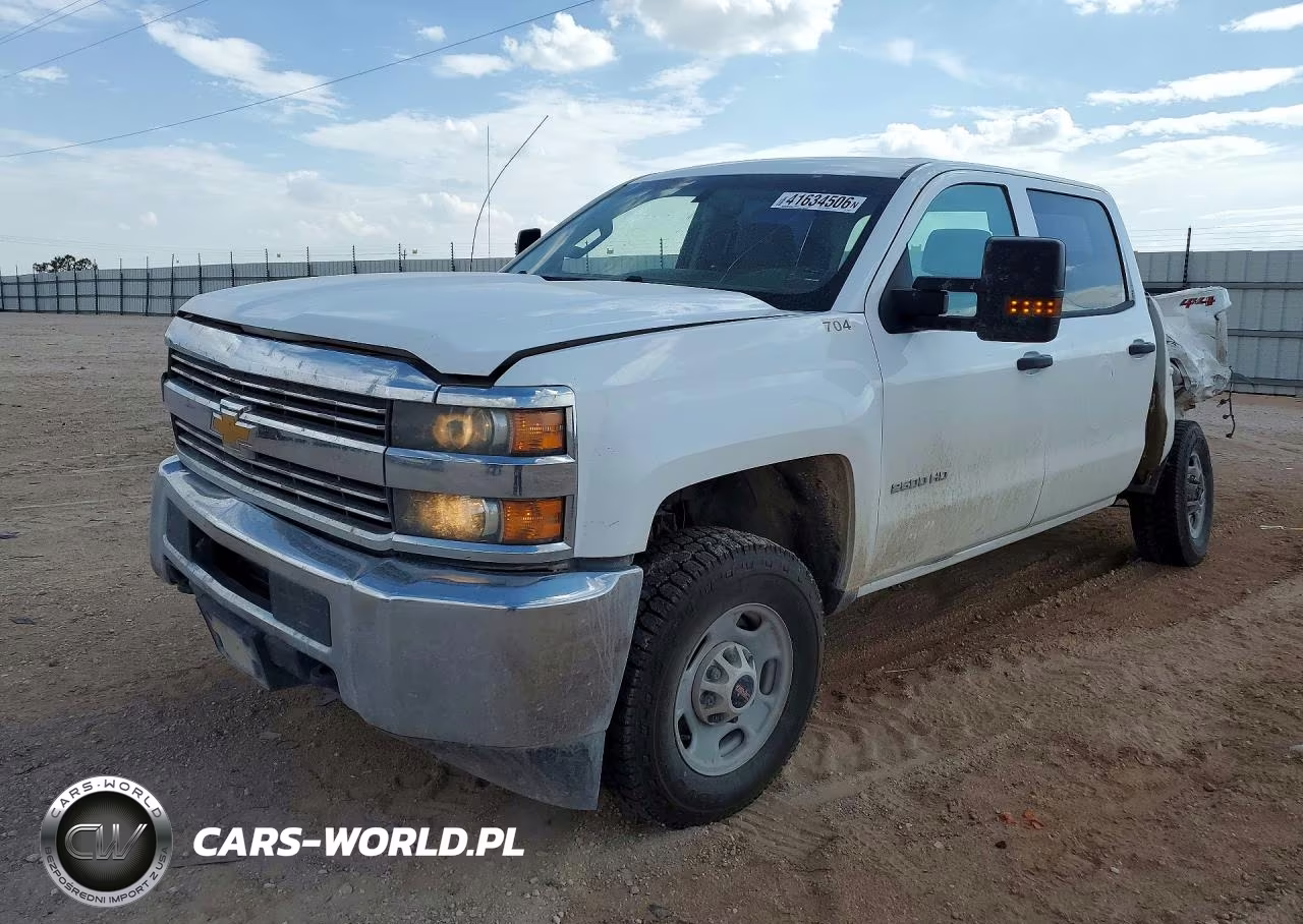 2018 Chevrolet Silverado K2500 Heavy Duty VIN:1GC1KUEGXJF174250 - 1