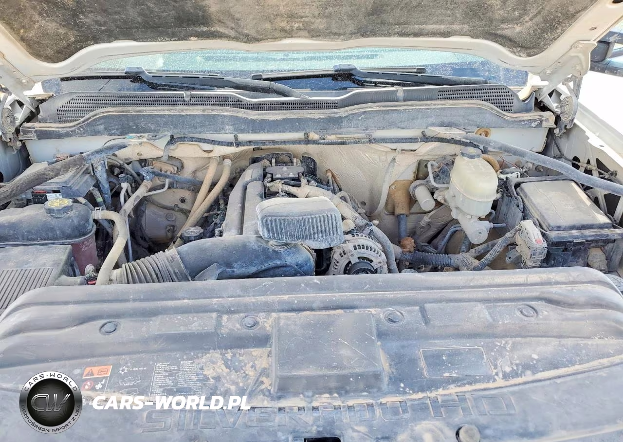 2018 Chevrolet Silverado K2500 Heavy Duty VIN:1GC1KUEGXJF174250 - 11