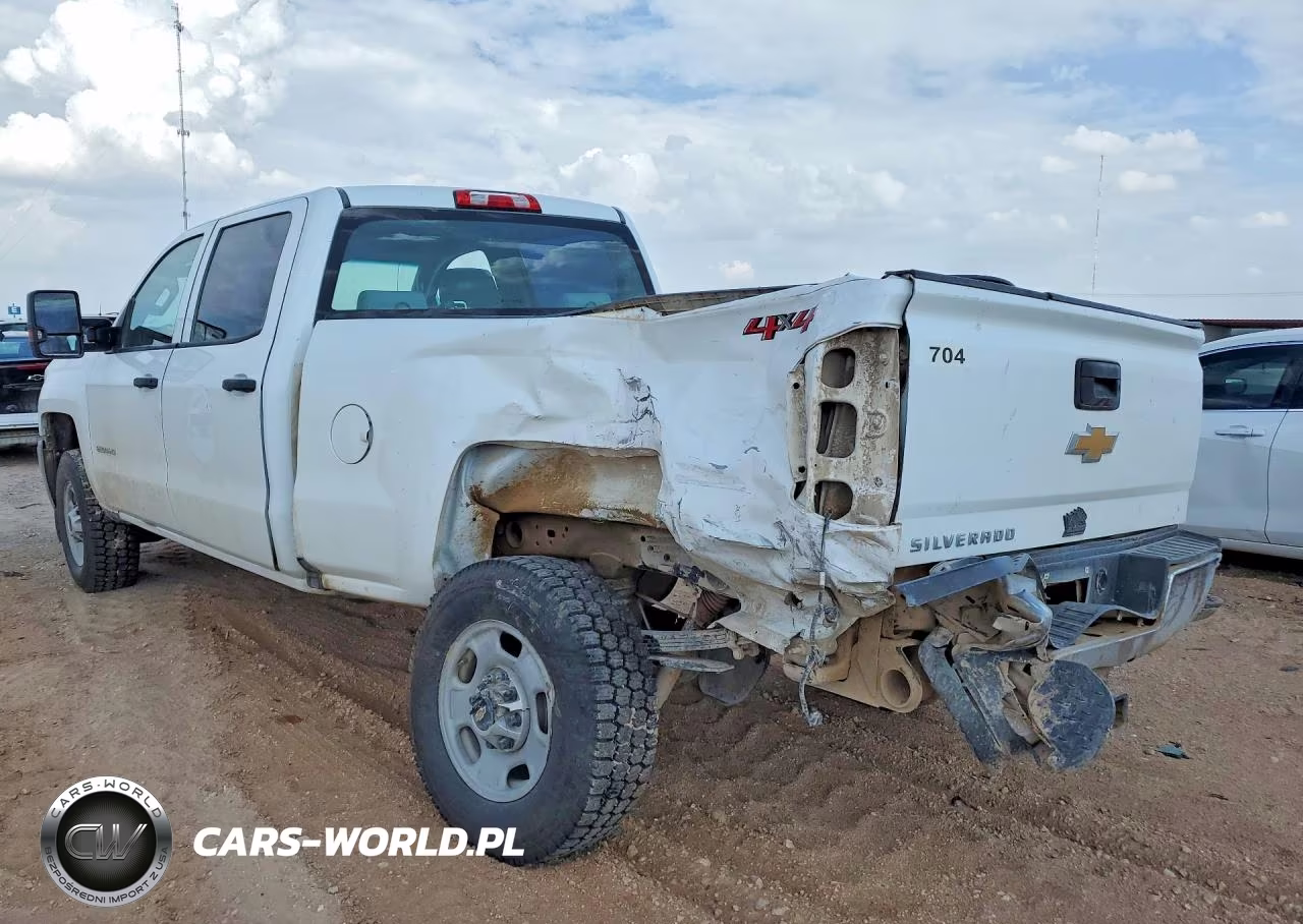 2018 Chevrolet Silverado K2500 Heavy Duty VIN:1GC1KUEGXJF174250 - 2
