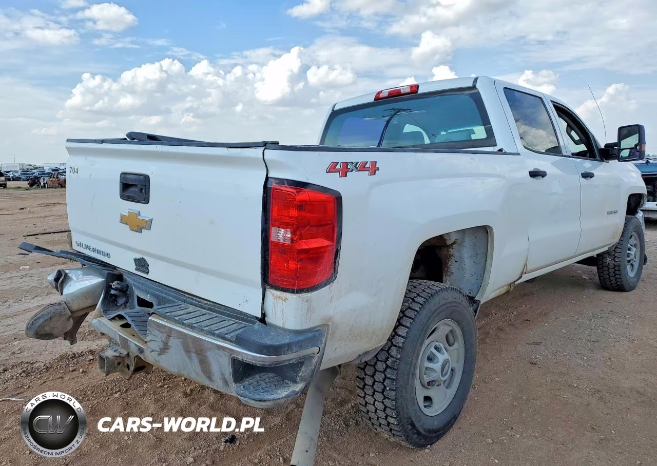 2018 Chevrolet Silverado K2500 Heavy Duty VIN:1GC1KUEGXJF174250 - 3