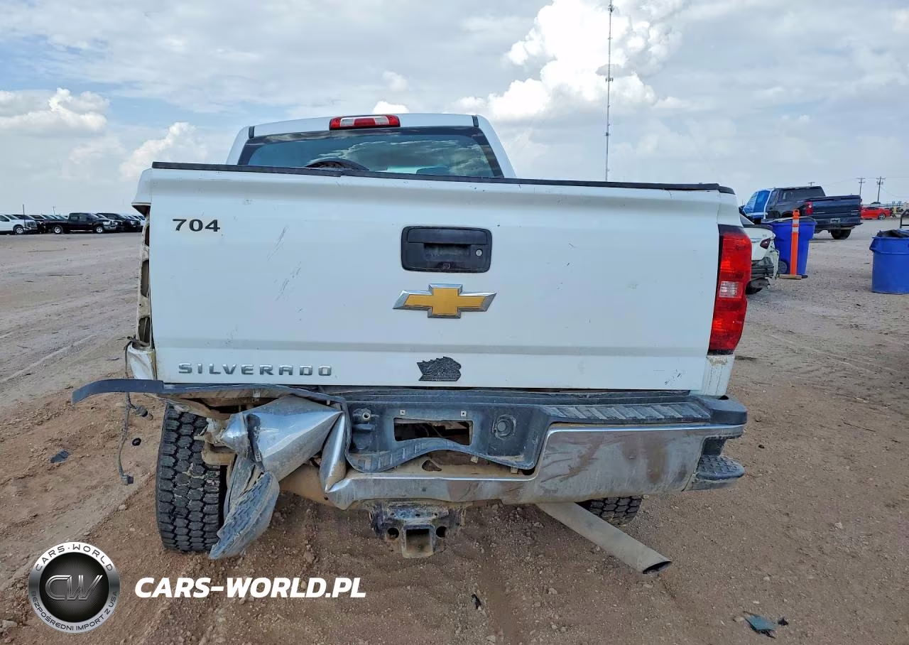 2018 Chevrolet Silverado K2500 Heavy Duty VIN:1GC1KUEGXJF174250 - 6