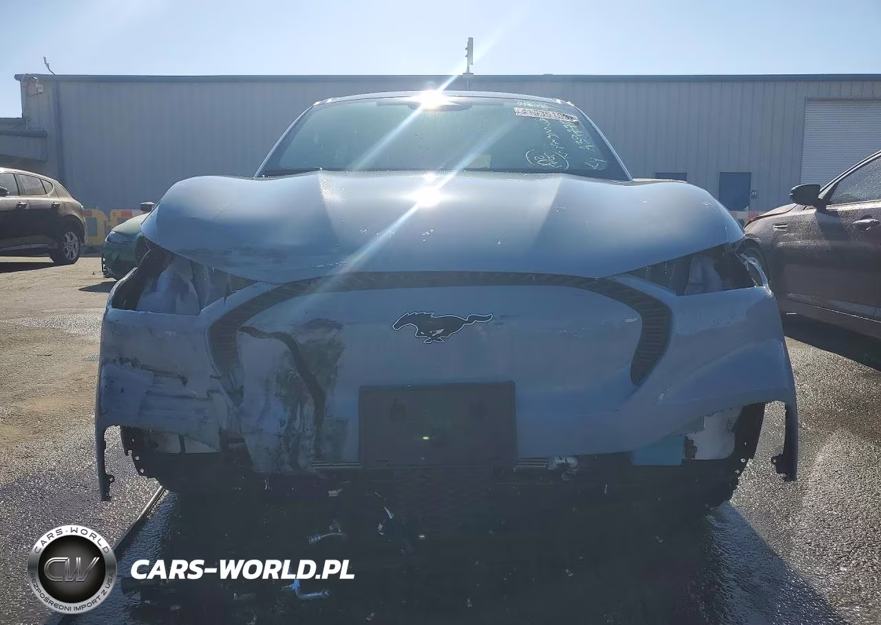 2025 Ford Mustang Mach-E Select VIN:3FMTK1R46SMA39772 - 5