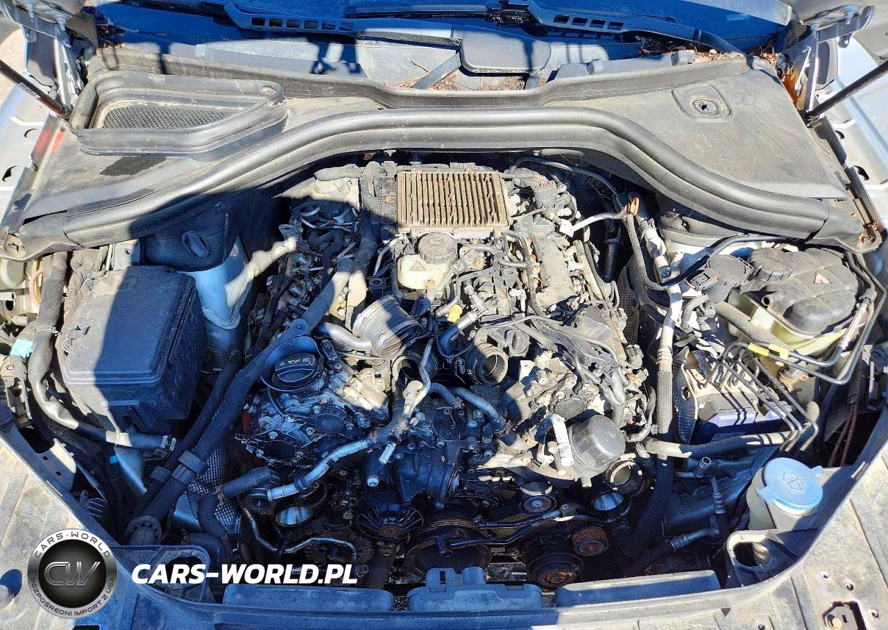 2013 Mercedes-Benz Gl 450 4Matic VIN:4JGDF7CE5DA179292 - 12