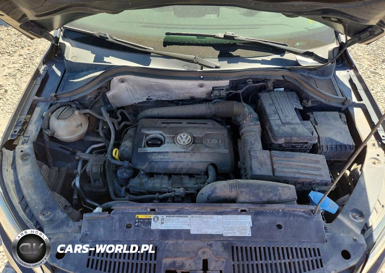 2015 Volkswagen Tiguan S VIN:WVGBV7AX1FW603250 - 11
