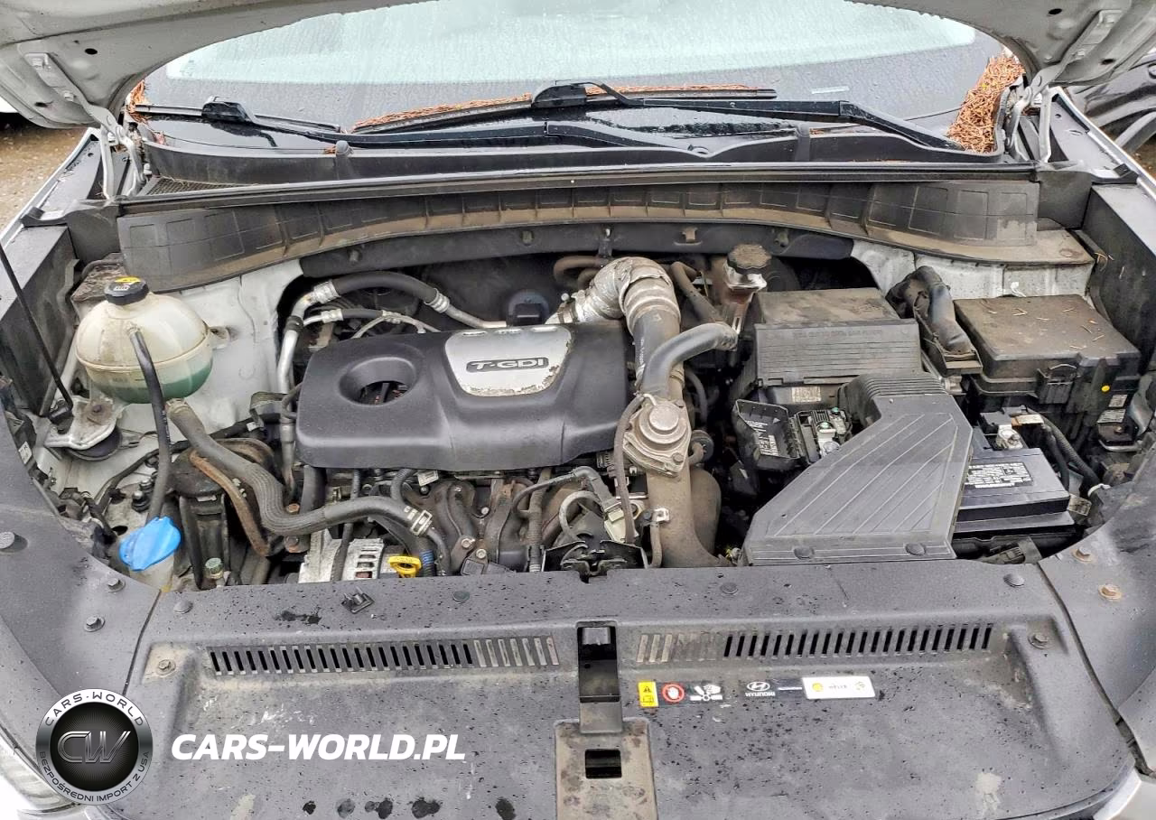 2017 Hyundai Tucson Eco VIN:KM8J3CA25HU273271 - 12