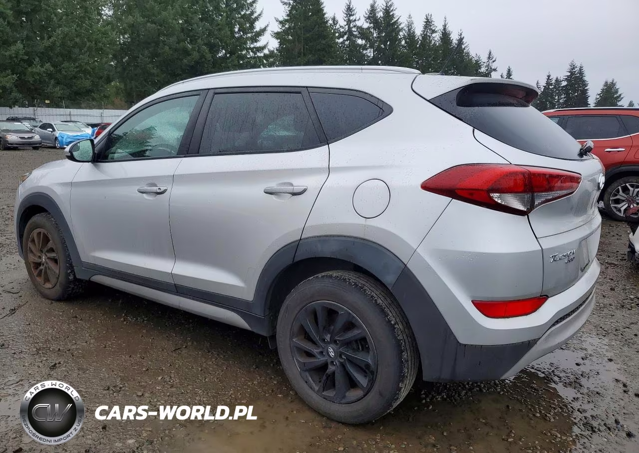 2017 Hyundai Tucson Eco VIN:KM8J3CA25HU273271 - 2