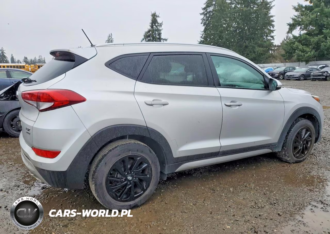 2017 Hyundai Tucson Eco VIN:KM8J3CA25HU273271 - 3