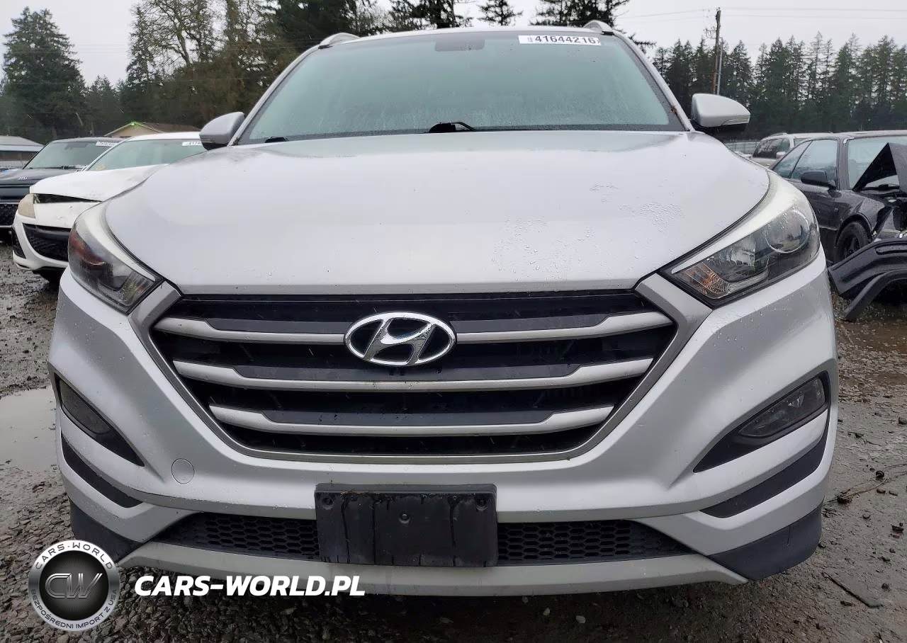 2017 Hyundai Tucson Eco VIN:KM8J3CA25HU273271 - 5