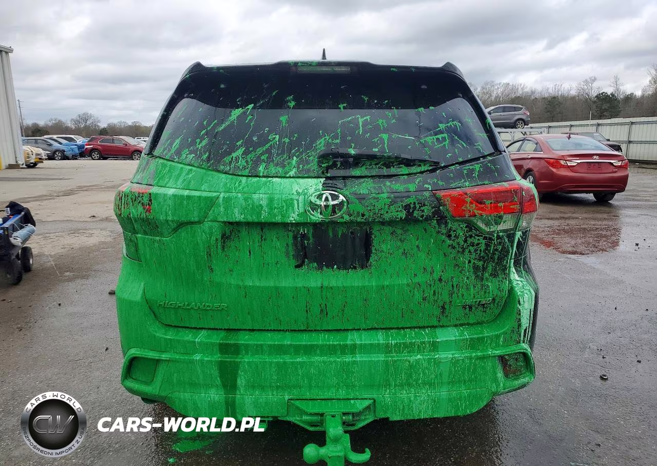 2019 Toyota Highlander Limited VIN:5TDYZRFH8KS352737 - 6