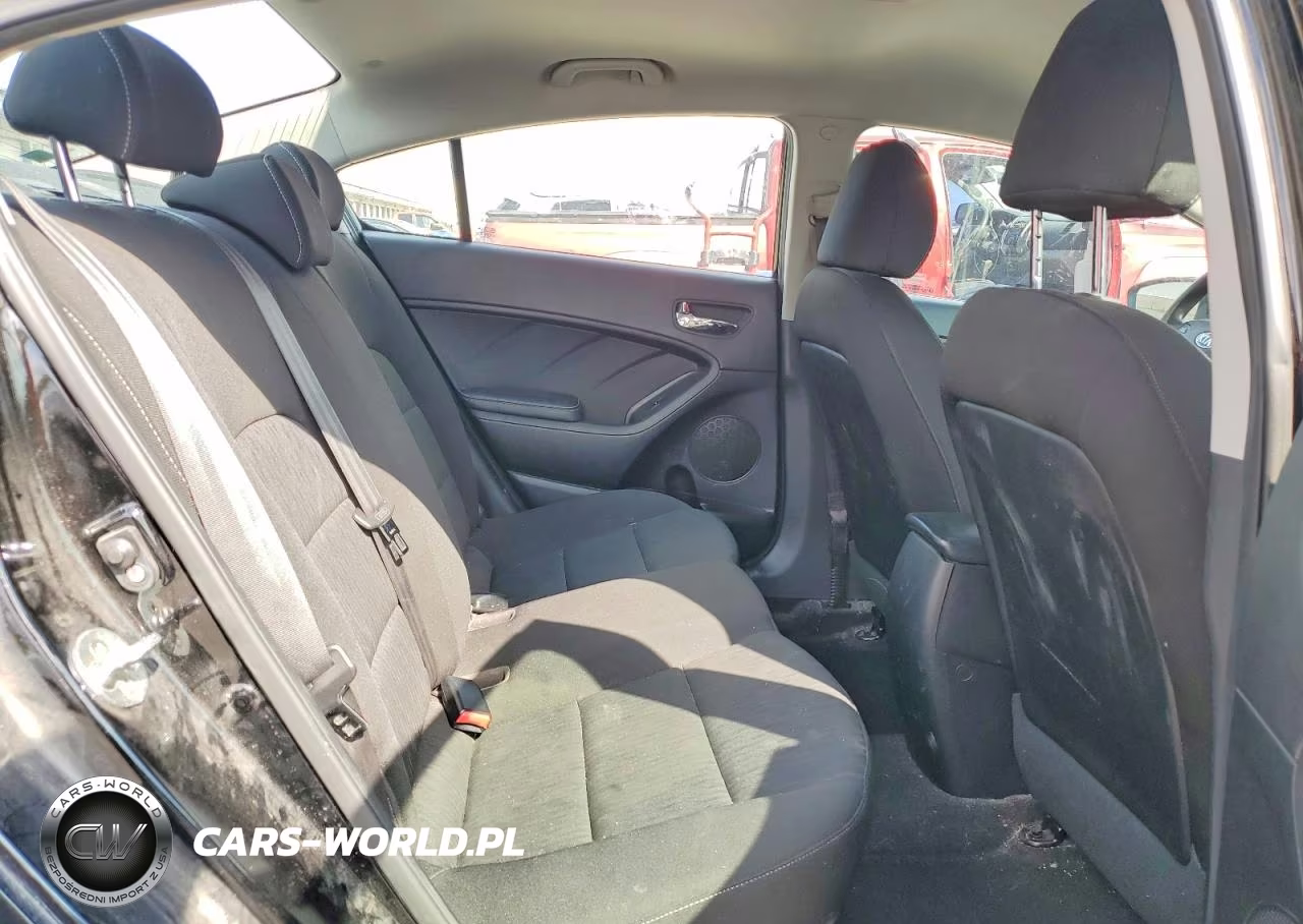 2016 Kia Forte Lx VIN:KNAFK4A66G5617007 - 10