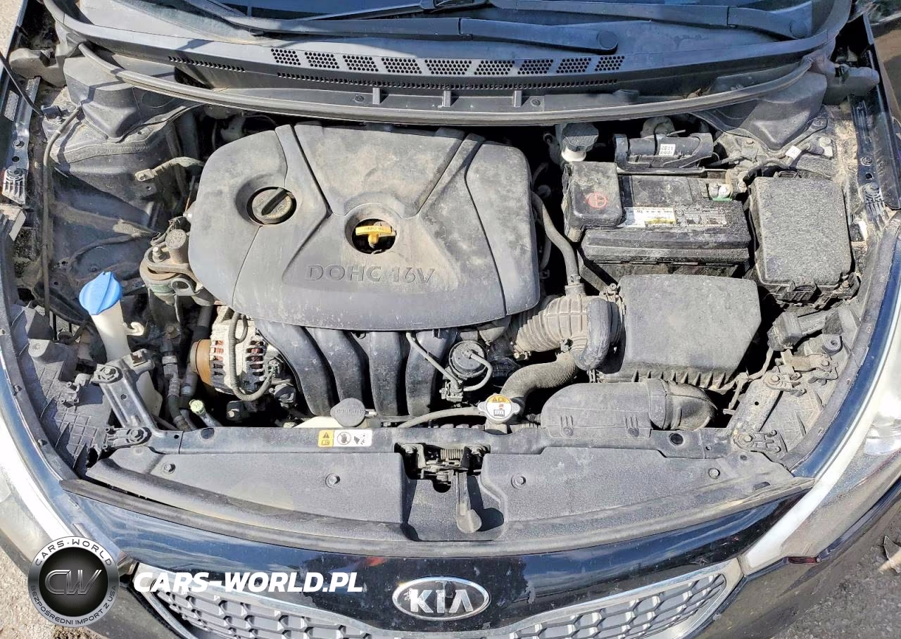 2016 Kia Forte Lx VIN:KNAFK4A66G5617007 - 11
