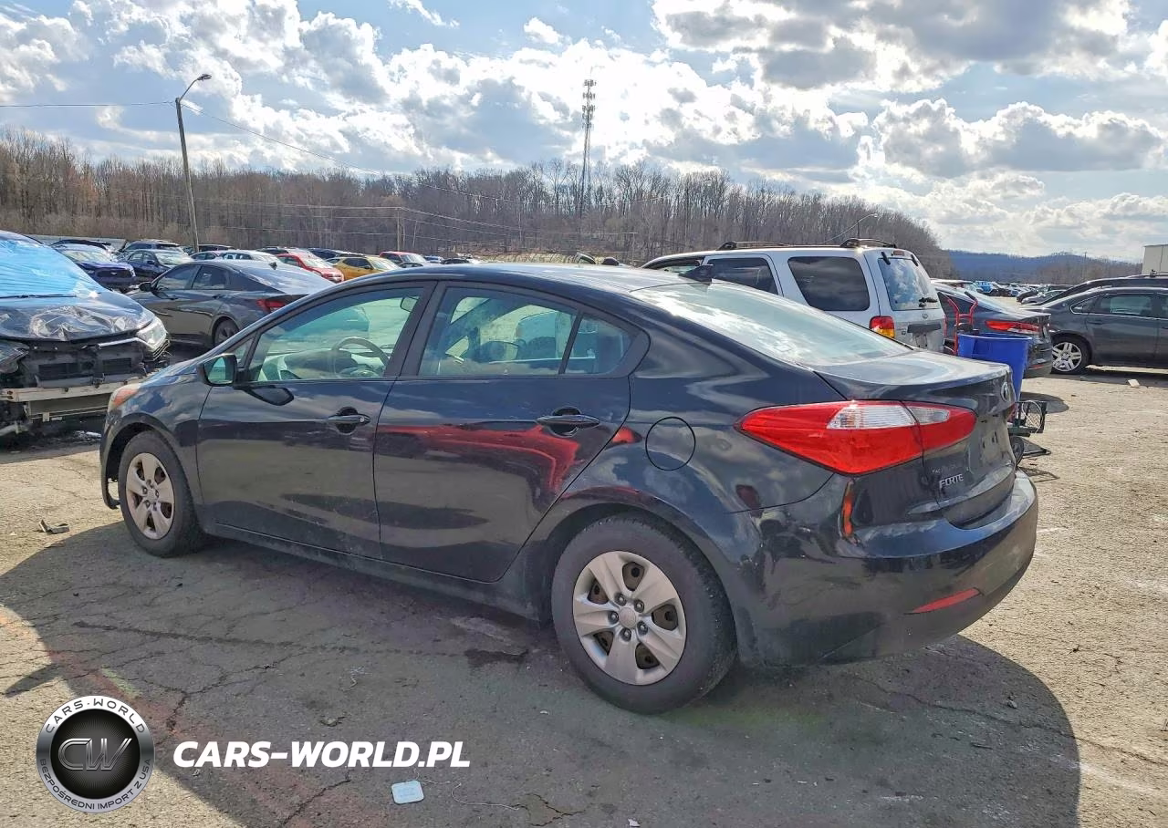 2016 Kia Forte Lx VIN:KNAFK4A66G5617007 - 2