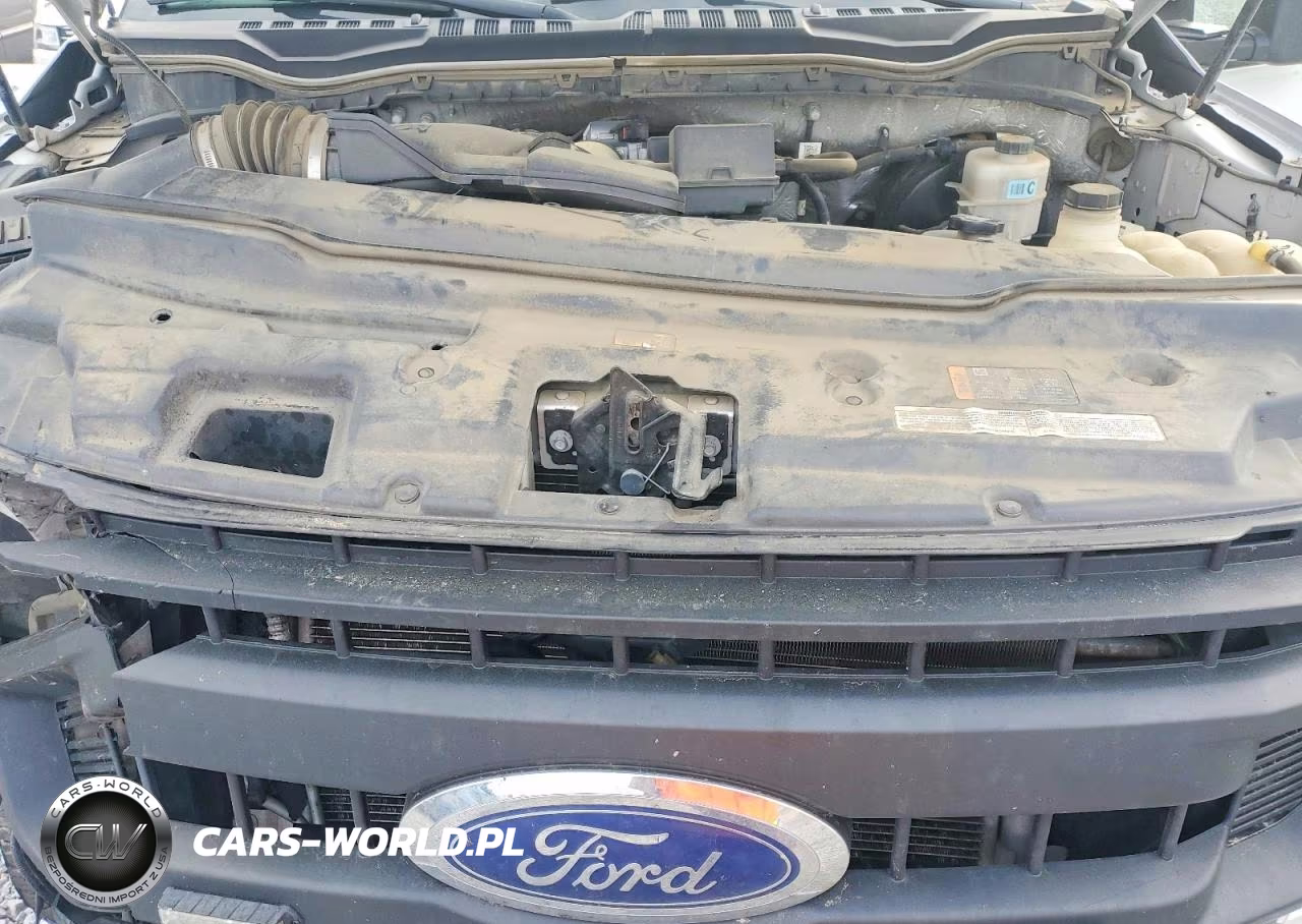 2021 Ford F250 Super Duty VIN:1FT7X2A61MEC11807 - 11