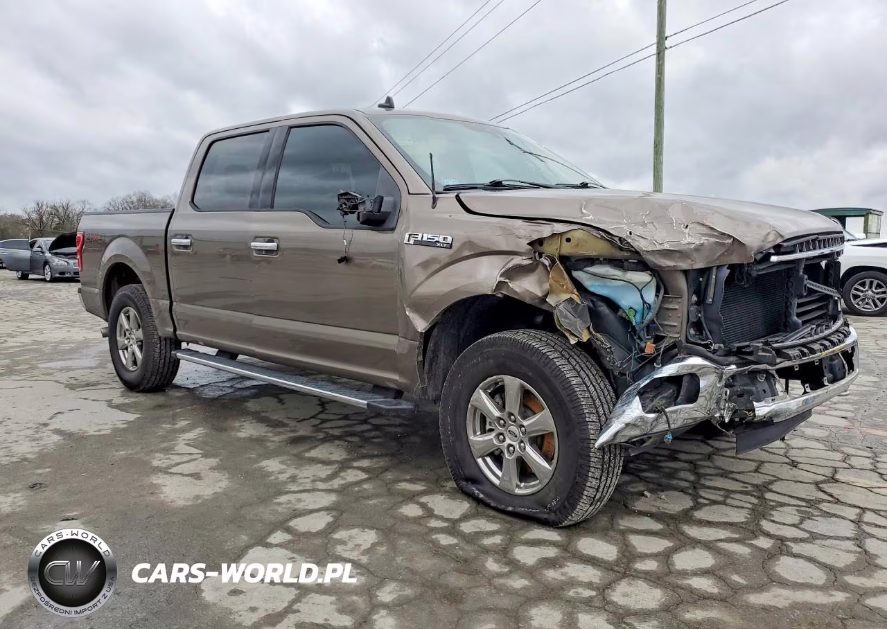 2019 Ford F150 Supercrew VIN:1FTEW1E50KKC07204 - 4
