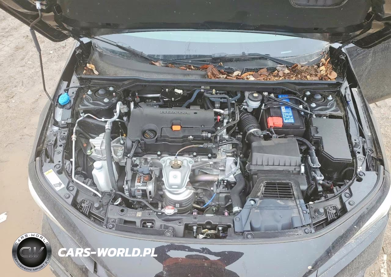 2024 Honda Civic Sport VIN:2HGFE2F59RH544243 - 11