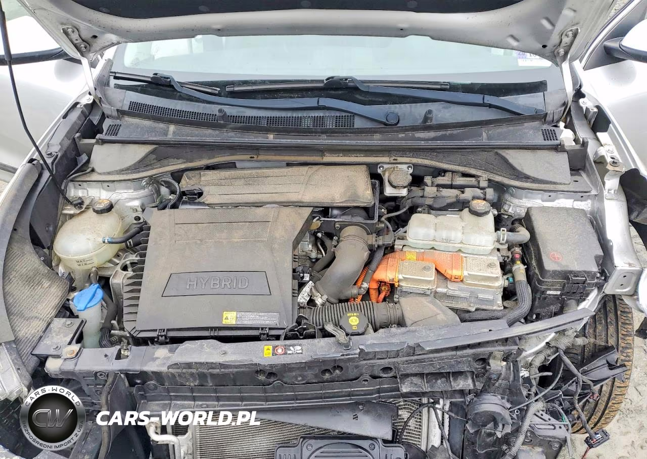 2019 Kia Niro Lx VIN:KNDCB3LC2K5257522 - 11