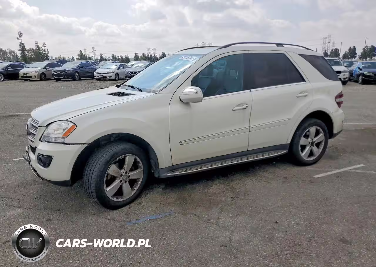 2010 Mercedes-Benz Ml 350